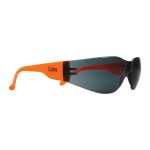 Cobra Smoke lens - Neon Orange Temples