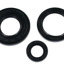 Seal Kit 050 051