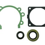 Gasket & Seal Kit 1117 029 0501